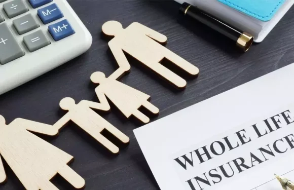 Living Insurance: Policies That Adapt as Your Life Evolves